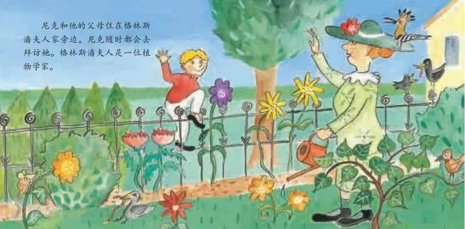 《尼克的丛林探‍险》内容图片展示