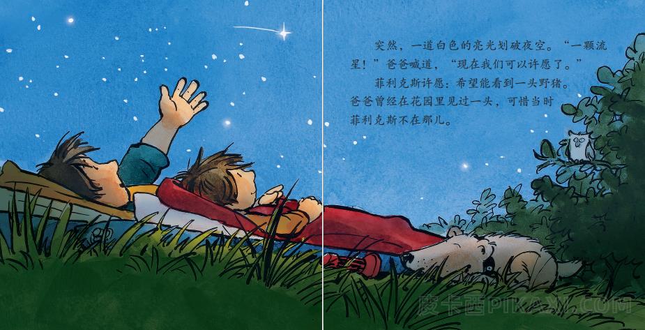 《花园之夜》内容图片展示