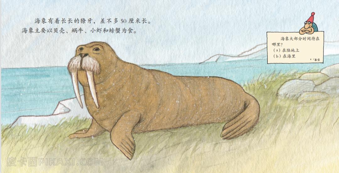《动物界的大块头》内容图片展示