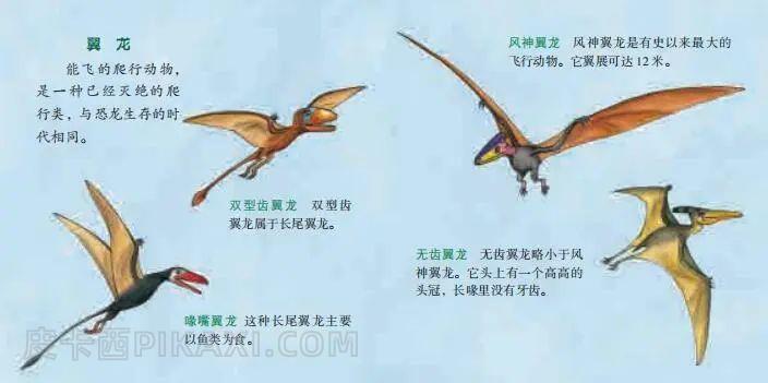 《恐龙与同时代的爬行动物》内容图片展示