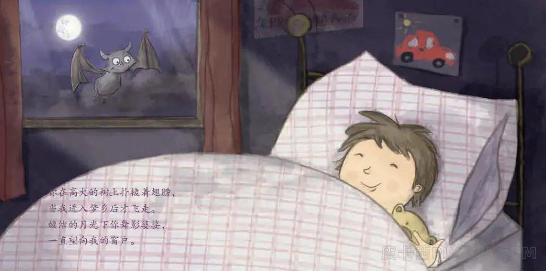 《飞呀，飞呀，小蝙蝠》内容图片展示