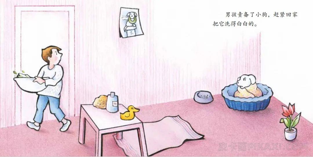 《白色的小狗》内容图片展示