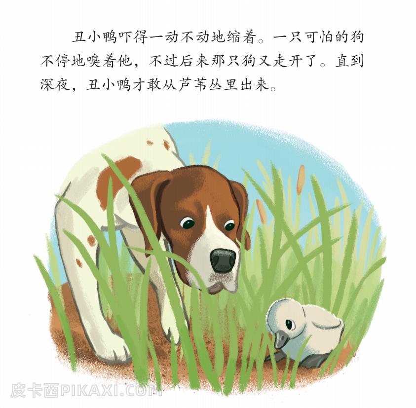 《丑小鸭》内容图片展示