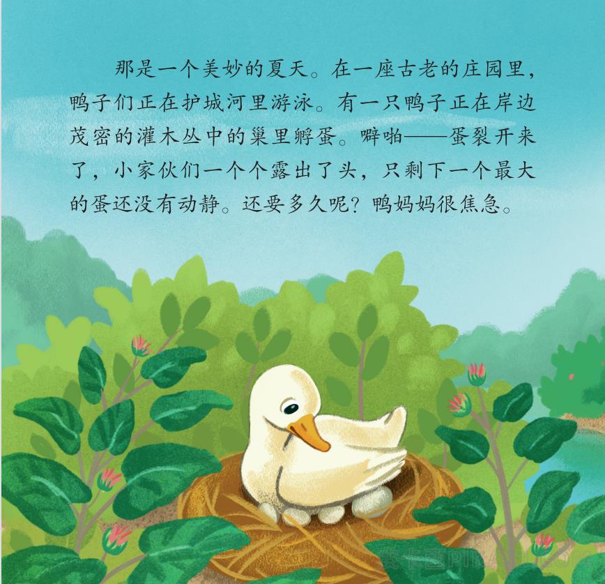 《丑小鸭》内容图片展示
