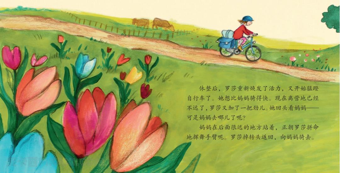 《骑自行车去旅行》内容图片展示