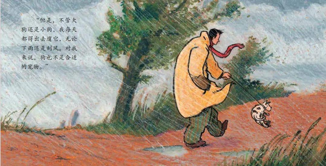 《不寻常的动物》内容图片展示