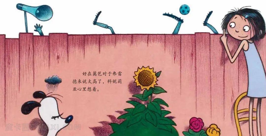 《小球星的诞生》内容图片展示