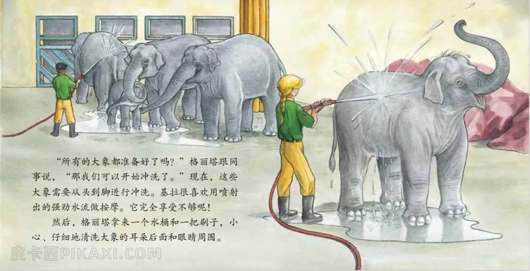 《大象饲养员的一天》内容图片展示