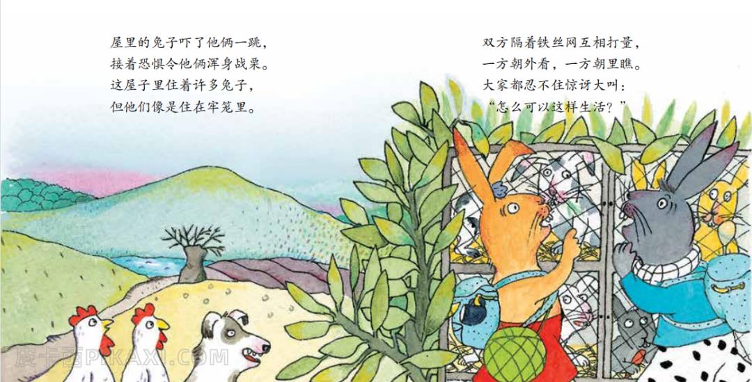 《寻找幸福的兔子》内容图片展示