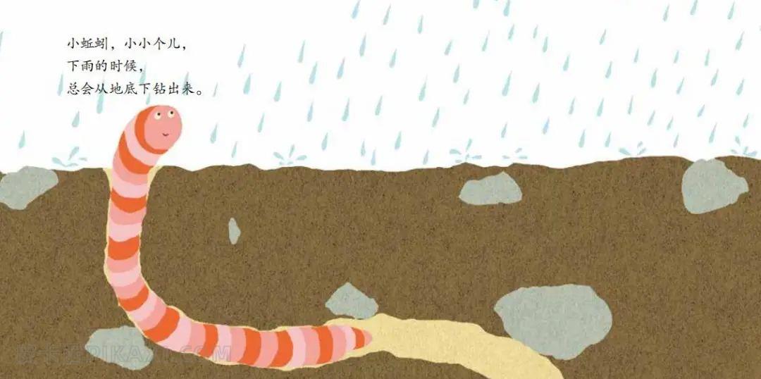 《小蚯蚓的一天》内容图片展示