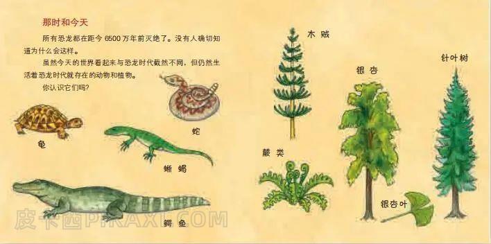 《恐龙与同时代的爬行动物》内容图片展示