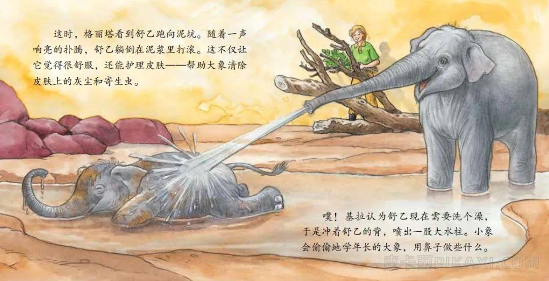 《大象饲养员的一天》内容图片展示