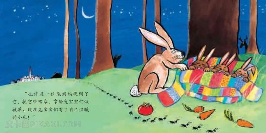 《我的围巾在哪里》内容图片展示