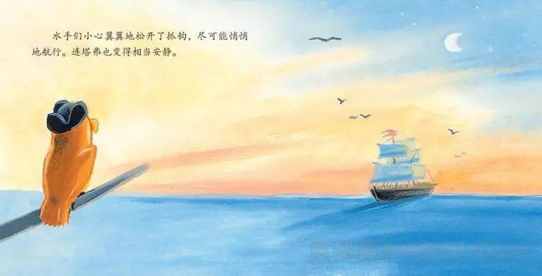 《睡不着的鹦鹉》内容图片展示