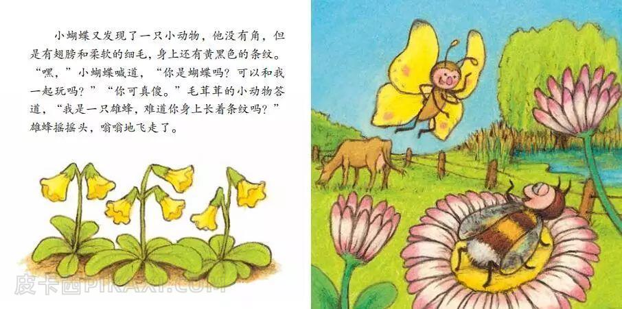 《小蝴蝶》内容图片展示