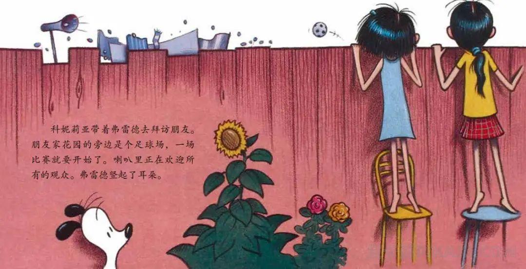 《小球星的诞生》内容图片展示