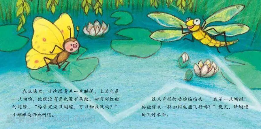 《小蝴蝶》内容图片展示