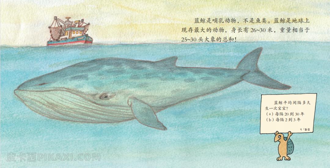 《动物界的大块头》内容图片展示