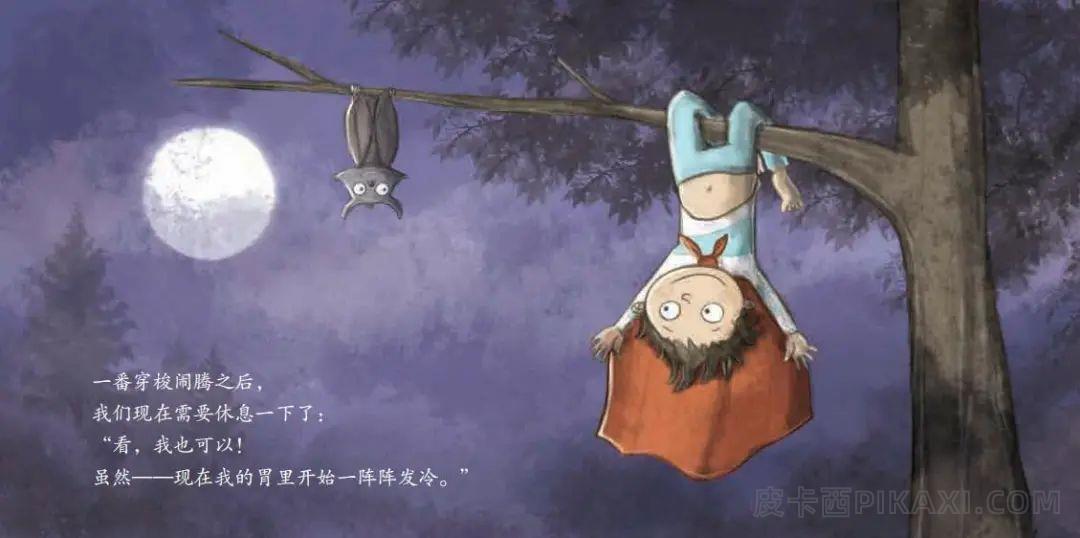 《飞呀，飞呀，小蝙蝠》内容图片展示