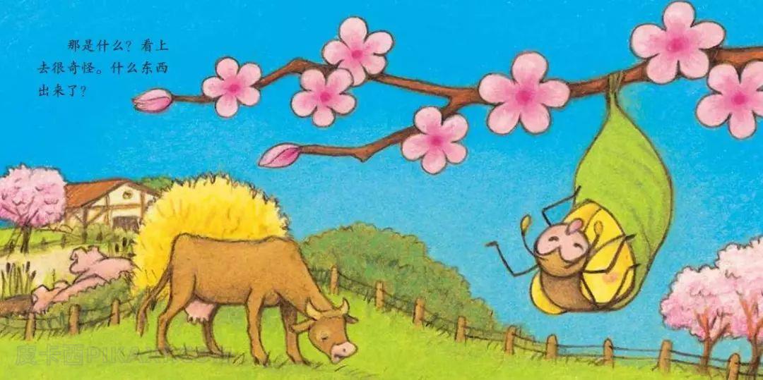 《小蝴蝶》内容图片展示