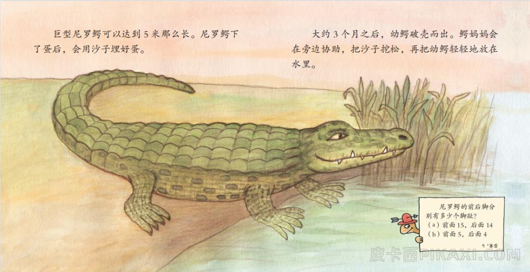 《动物界的大块头》内容图片展示