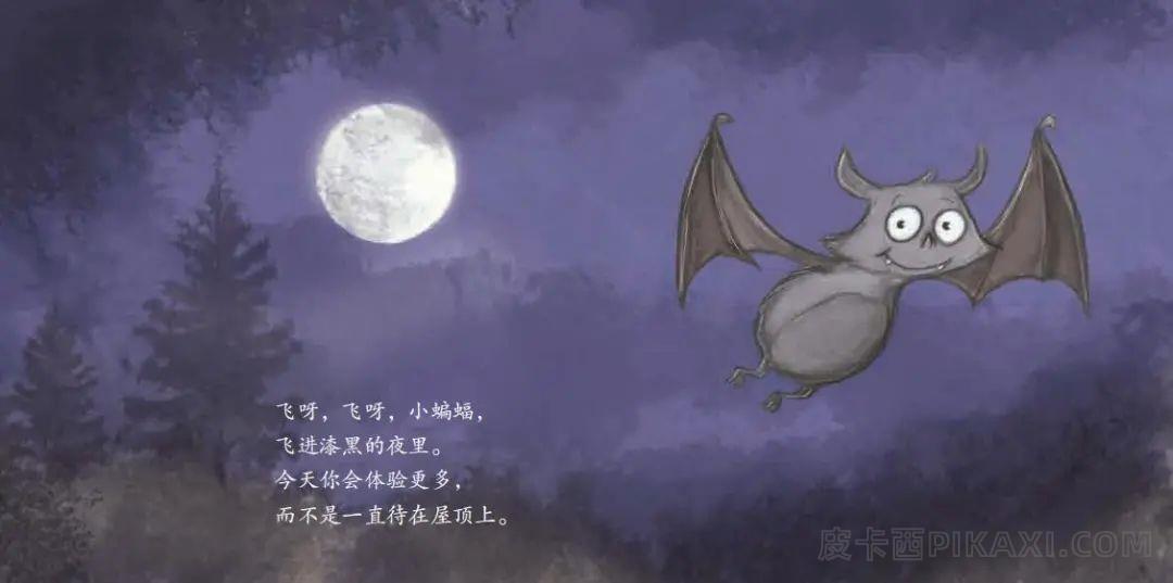 《飞呀，飞呀，小蝙蝠》内容图片展示
