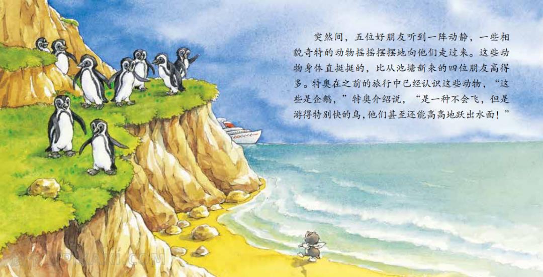 《佩利波波飞起来》内容图片展示